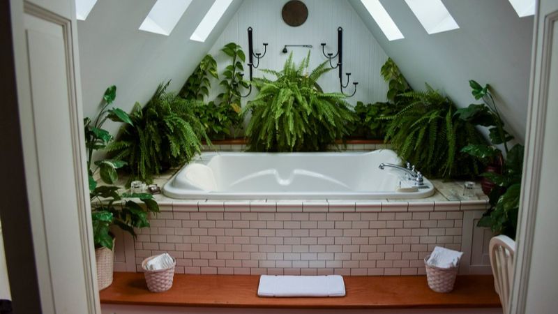 Wild Goose Inn Bed & Breakfast