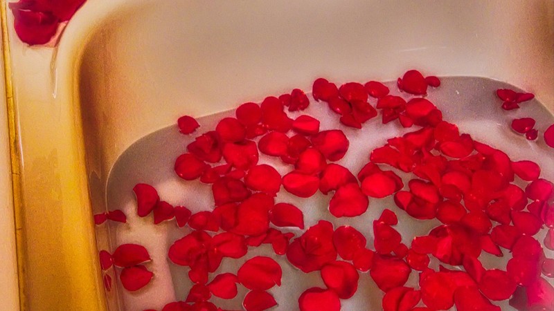 The Lion and The Rose Bed and Breakfast photo 1