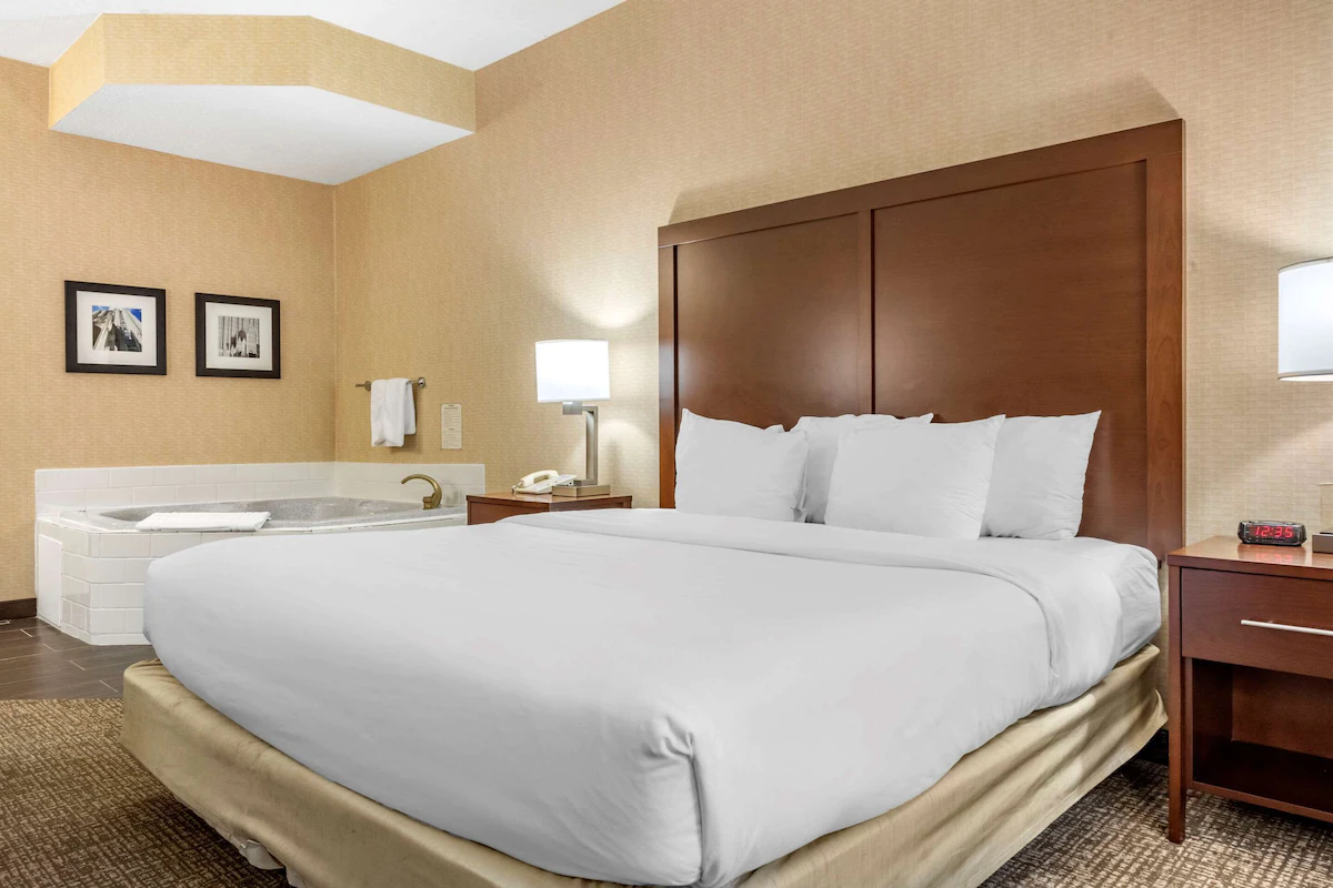 Comfort Inn Meadowlands