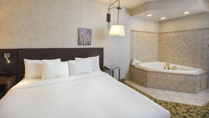 Hilton Garden Inn Wisconsin Dells photo 1